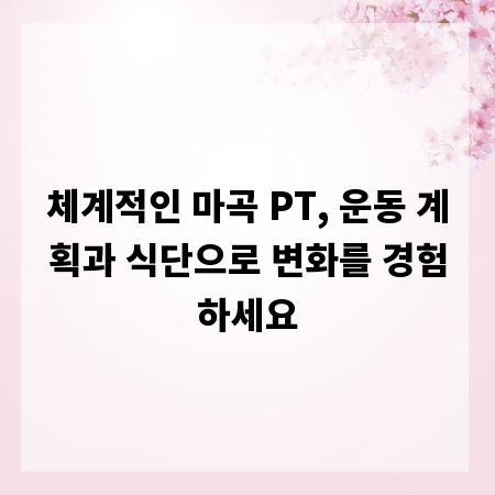 체계적인 마곡 PT, 운동 계획과 식단으로 변화를 경험하세요