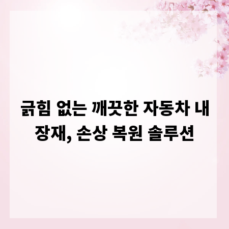 긁힘 없는 깨끗한 자동차 내장재, 손상 복원 솔루션