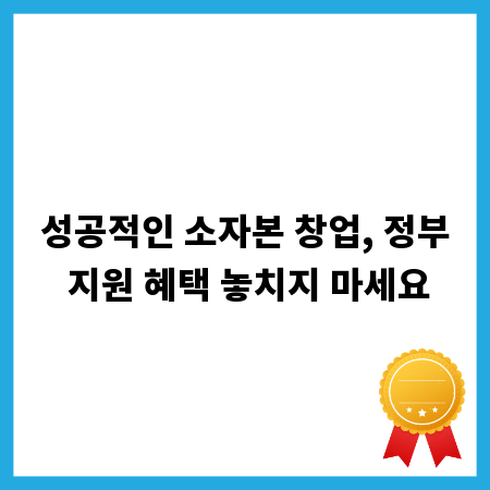 성공적인 소자본 창업, 정부 지원 혜택 놓치지 마세요