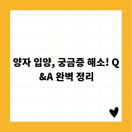 양자 입양, 궁금증 해소! Q&A 완벽 정리