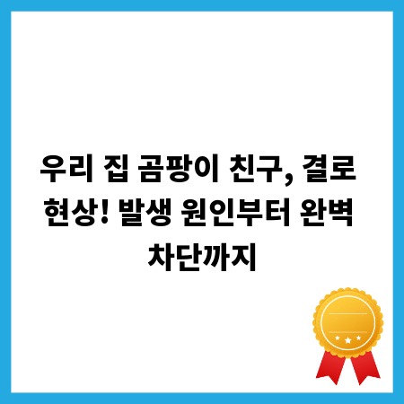 우리 집 곰팡이 친구, 결로 현상! 발생 원인부터 완벽 차단까지
