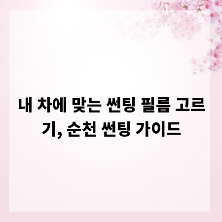 내 차에 맞는 썬팅 필름 고르기, 순천 썬팅 가이드