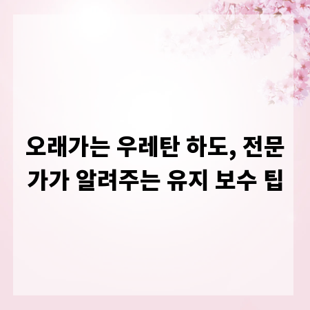오래가는 우레탄 하도, 전문가가 알려주는 유지 보수 팁