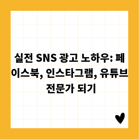 실전 SNS 광고 노하우: 페이스북, 인스타그램, 유튜브 전문가 되기