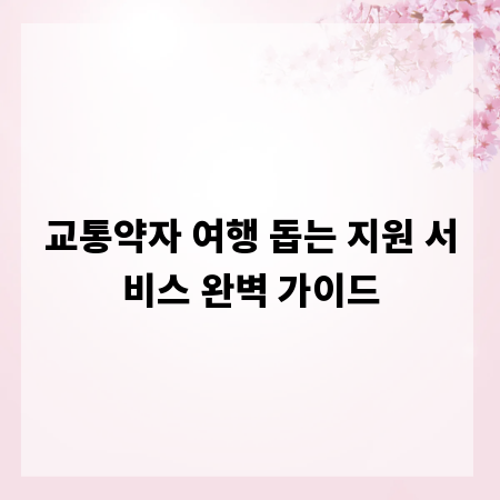 교통약자 여행 돕는 지원 서비스 완벽 가이드