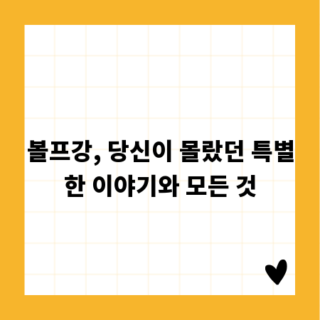 볼프강, 당신이 몰랐던 특별한 이야기와 모든 것