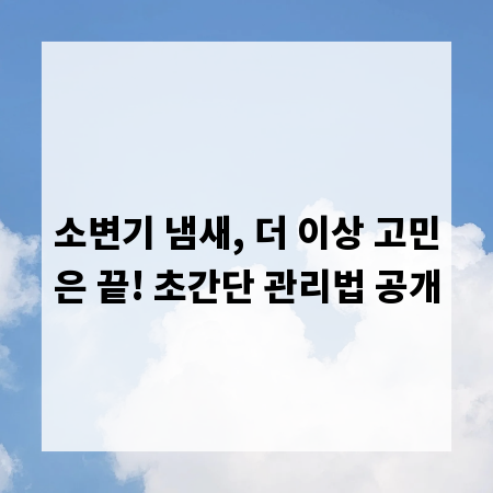 소변기 냄새, 더 이상 고민은 끝! 초간단 관리법 공개