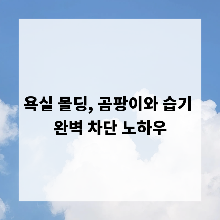 욕실 몰딩, 곰팡이와 습기 완벽 차단 노하우