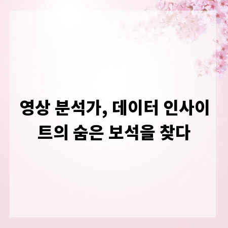 영상 분석가, 데이터 인사이트의 숨은 보석을 찾다