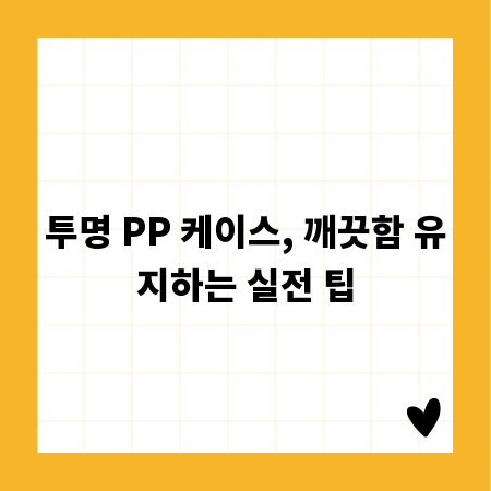 투명 PP 케이스, 깨끗함 유지하는 실전 팁