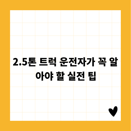 2.5톤 트럭 운전자가 꼭 알아야 할 실전 팁