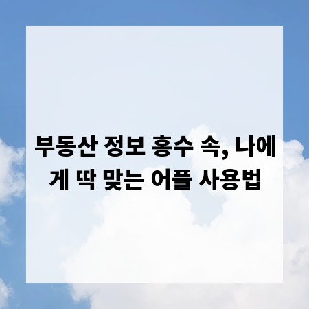 부동산 정보 홍수 속, 나에게 딱 맞는 어플 사용법