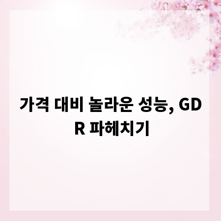 가격 대비 놀라운 성능, GDR 파헤치기
