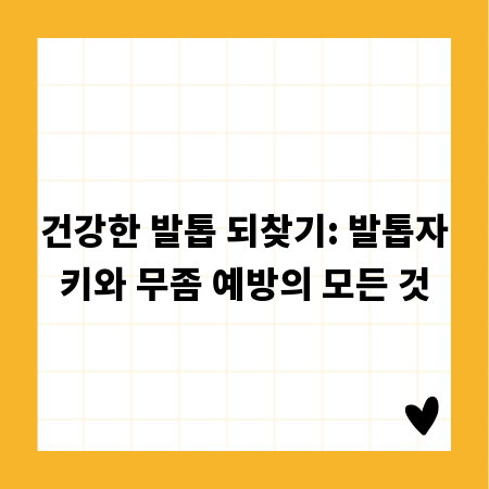 건강한 발톱 되찾기: 발톱자키와 무좀 예방의 모든 것