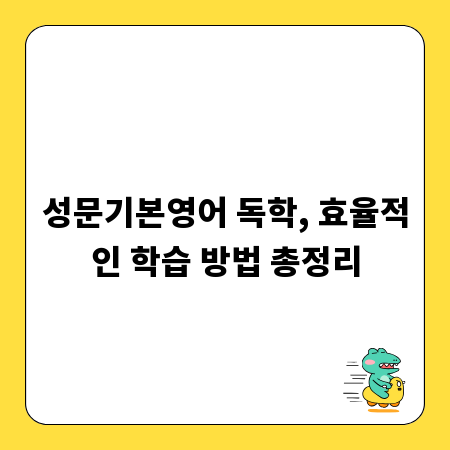 성문기본영어 독학, 효율적인 학습 방법 총정리