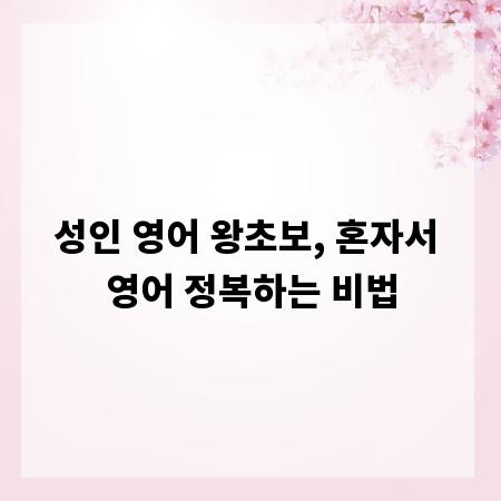 성인 영어 왕초보, 혼자서 영어 정복하는 비법
