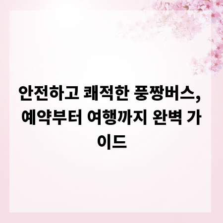 안전하고 쾌적한 풍짱버스, 예약부터 여행까지 완벽 가이드