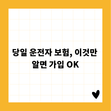 당일 운전자 보험, 이것만 알면 가입 OK