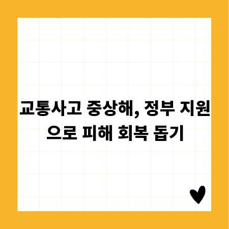 교통사고 중상해, 정부 지원으로 피해 회복 돕기