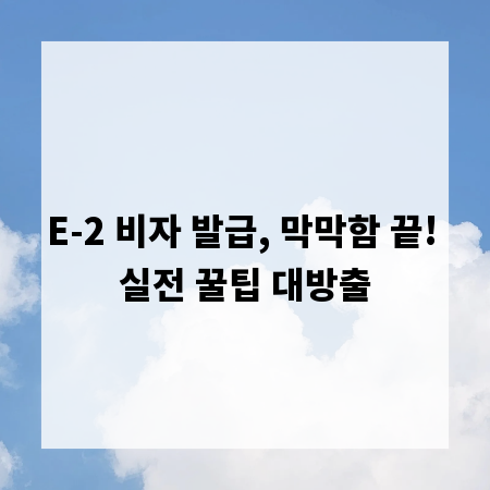 E-2 비자 발급, 막막함 끝! 실전 꿀팁 대방출