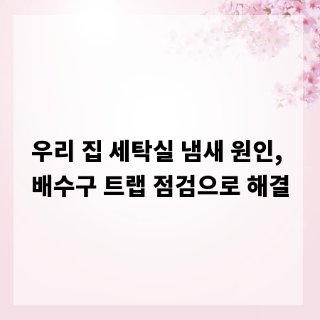 우리 집 세탁실 냄새 원인, 배수구 트랩 점검으로 해결