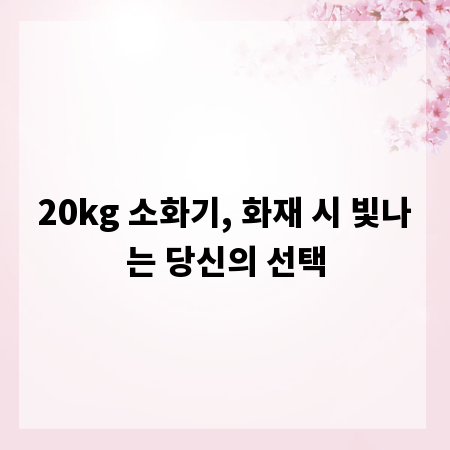 20kg 소화기, 화재 시 빛나는 당신의 선택