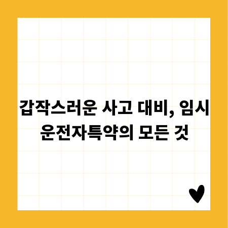 갑작스러운 사고 대비, 임시운전자특약의 모든 것