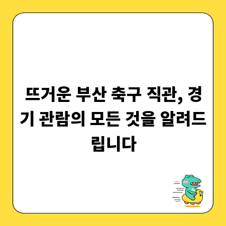 뜨거운 부산 축구 직관, 경기 관람의 모든 것을 알려드립니다