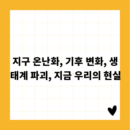 든든한 사업 파트너, 햇살론 대출 상환 완벽 가이드