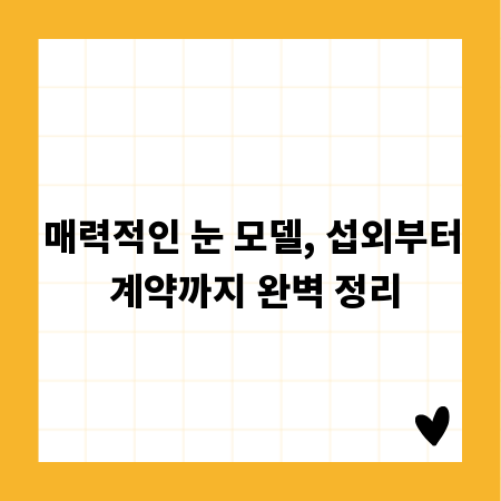 매력적인 눈 모델, 섭외부터 계약까지 완벽 정리