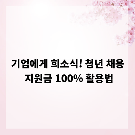 기업에게 희소식! 청년 채용 지원금 100% 활용법