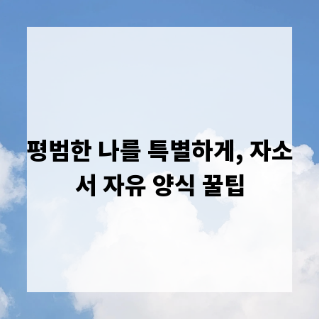 평범한 나를 특별하게, 자소서 자유 양식 꿀팁