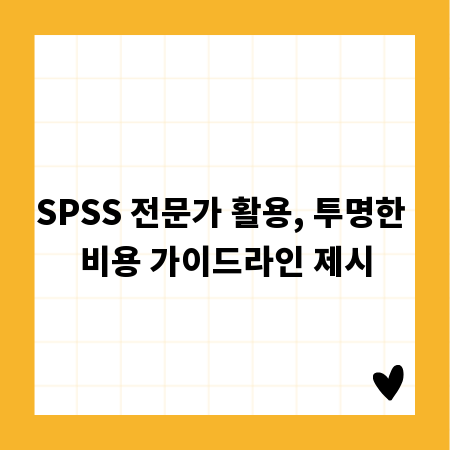 SPSS 전문가 활용, 투명한 비용 가이드라인 제시