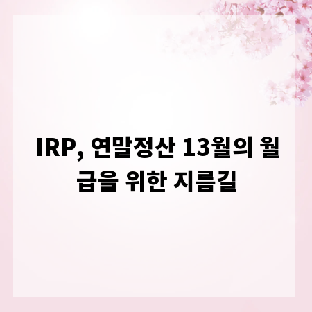 IRP, 연말정산 13월의 월급을 위한 지름길