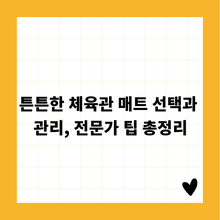 튼튼한 체육관 매트 선택과 관리, 전문가 팁 총정리