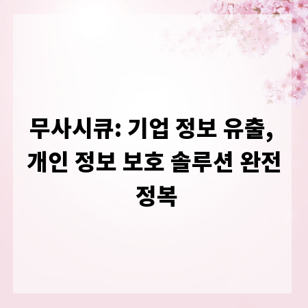 무사시큐: 기업 정보 유출, 개인 정보 보호 솔루션 완전 정복