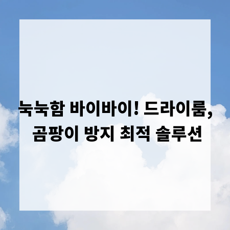 눅눅함 바이바이! 드라이룸, 곰팡이 방지 최적 솔루션