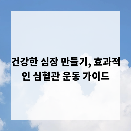 건강한 심장 만들기, 효과적인 심혈관 운동 가이드