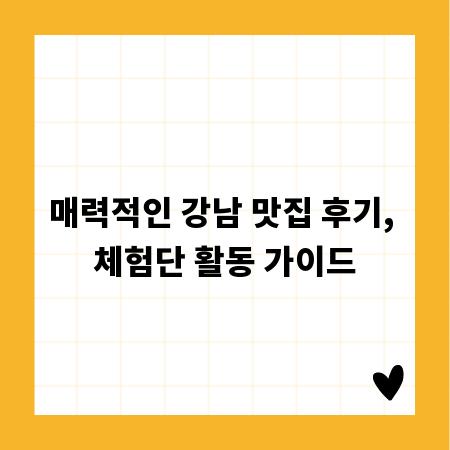 매력적인 강남 맛집 후기, 체험단 활동 가이드