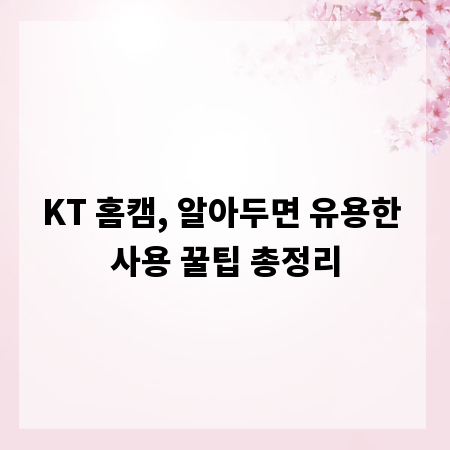 KT 홈캠, 알아두면 유용한 사용 꿀팁 총정리