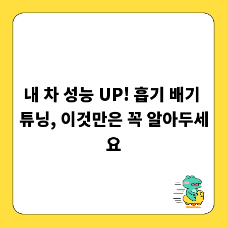 내 차 성능 UP! 흡기 배기 튜닝, 이것만은 꼭 알아두세요