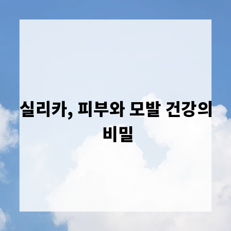 실리카, 피부와 모발 건강의 비밀