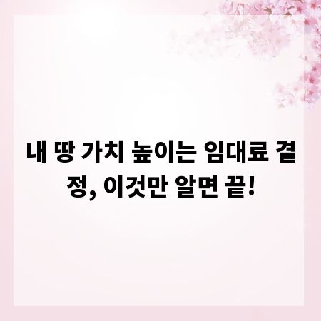 내 땅 가치 높이는 임대료 결정, 이것만 알면 끝!