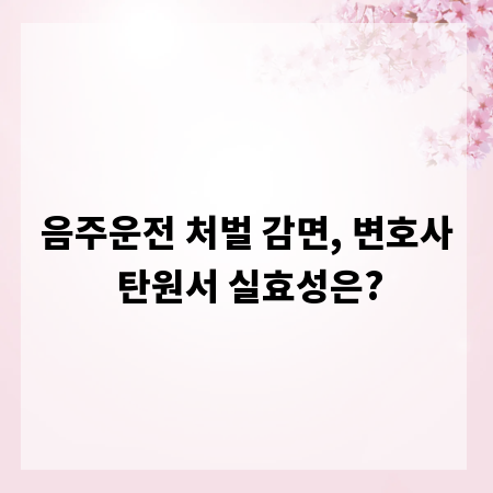 음주운전 처벌 감면, 변호사 탄원서 실효성은?