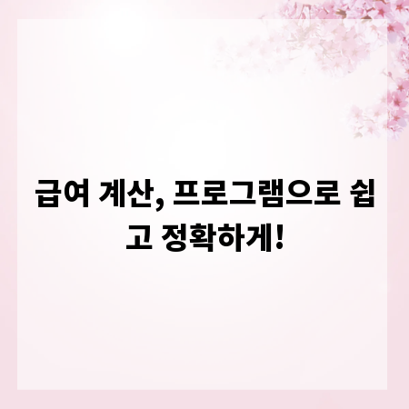 급여 계산, 프로그램으로 쉽고 정확하게!