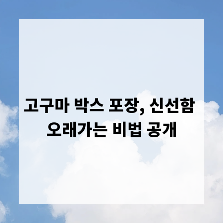 고구마 박스 포장, 신선함 오래가는 비법 공개