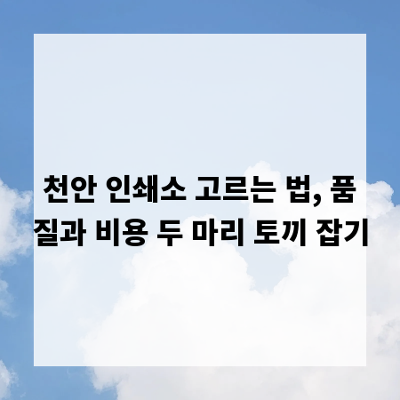 천안 인쇄소 고르는 법, 품질과 비용 두 마리 토끼 잡기