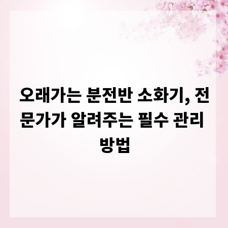오래가는 분전반 소화기, 전문가가 알려주는 필수 관리 방법