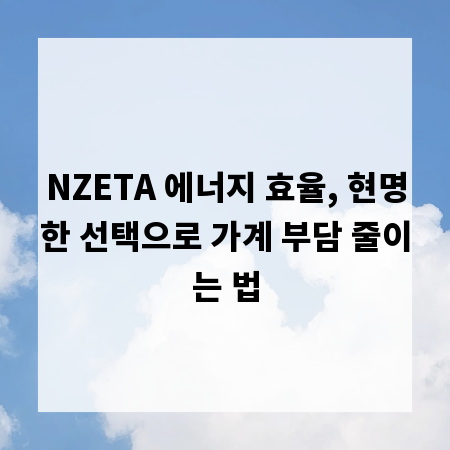 NZETA 에너지 효율, 현명한 선택으로 가계 부담 줄이는 법