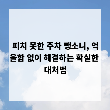 피치 못한 주차 뺑소니, 억울함 없이 해결하는 확실한 대처법